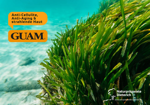 GUAM Meereskraft für Anti-Cellulite, Anti-Aging und strahlende Haut