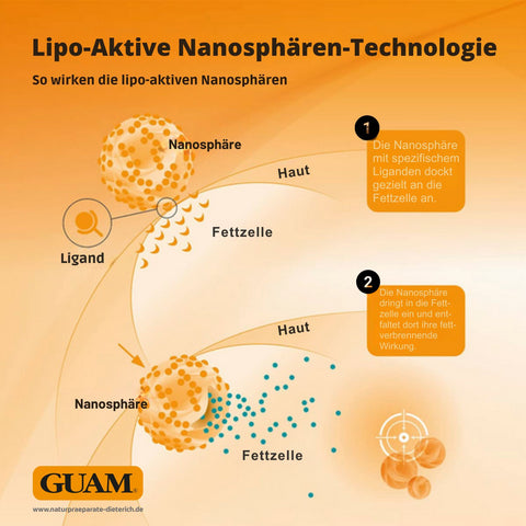 Infografik zur GUAM Lipo-Aktiven Nanosphären-Technologie: Darstellung der Wirkweise einer Nanosphäre, die gezielt an Fettzellen andockt, in die Zelle eindringt und dort ihre fettverbrennende Wirkung entfaltet – ideal zur gezielten Anwendung an Gesäß, Oberschenkeln, Hüfte und Bauch.
Naturpräparate Dieterich