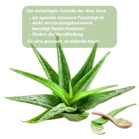 Holzhacker Aloe Vera Creme - Foto von Aloe Vera Pflanze und Text: Die vielseitigen Vorteile der Aloe Vera, sie spendet intensive Feuchtigkeit, wirkt entzündungshemmend, beruhigt Hautirritationen, fördert die Wundheilung - für eine gesunde, strahlende Haut. | Naturpräparate Dieterich