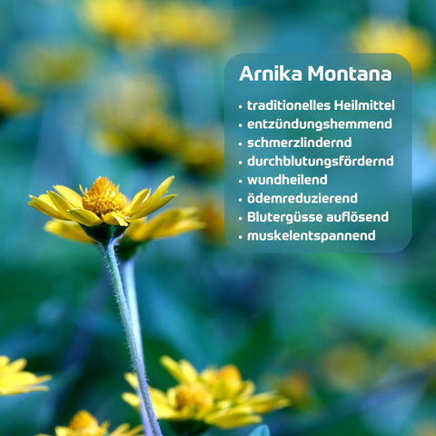 Holzhacker Muskel Gel Arnika Menthol. Abbildung von Arnikablüten und Text: Arnika Montana - traditionelles Heilmittel, entzündungshemmend, scherzlindernd, durchblutungsfördernd, wundheilend, ödemreduzierend, Blutergüsse auflösend, muskelentspannend. | Naturpräparate Dieterich