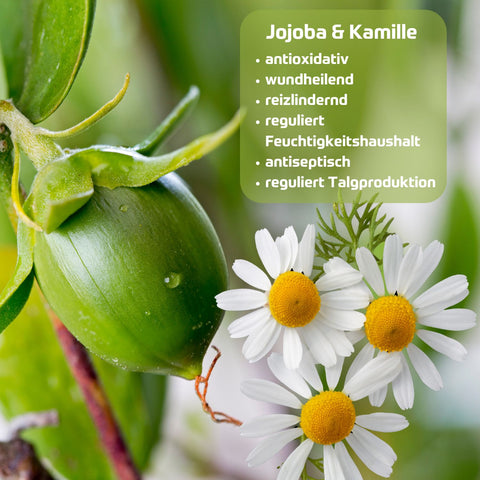 Holzhacker Johanniskrautöl After Sun Salbe. Foto von Jojoba und Kamille, die in der Salbe enthalten sind und Text: Jojoba & Kamille - antioxidativ, wundheilend, reizlindernd, reguliert Feuchtigkeitshaushalt, antiseptisch, reguliert Talkproduktion. | Naturpräparate Dieterich