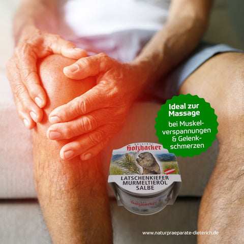 Holzhacker Latschenkiefer Murmeltieröl Salbe 150 ml Tiegel - ideal zur Massage bei Muskelverspannungen und Gelenkschmerzen. Foto Mann mit schmerzendem Knie und Murmeltieröl Salbe - Naturpräparate Dieterich