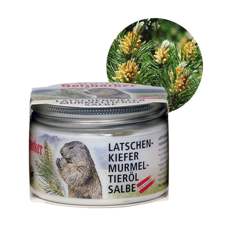 Holzhacker Latschenkiefer Murmeltieröl Salbe 150 ml Tiegel - Foto mit Tiegel und Latschenkieferzweig. | Naturpräparate Dieterich