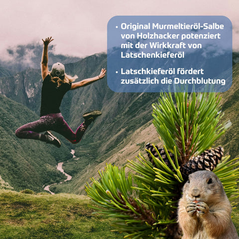 Holzhacker Latschenkiefer Murmeltieröl Salbe 150 ml Tiegel - Original Murmeltieröl von Holzhacker potenziert mit der Wirkkraft von Latschenkieferöl. Latschenkieferöl fördert zusätzlich die Durchblutung. Foto mit Frau auf dem Berg im Luftsprung, Latschkieferzweig und Murmeltier. | Naturpräparate Dieterichi
