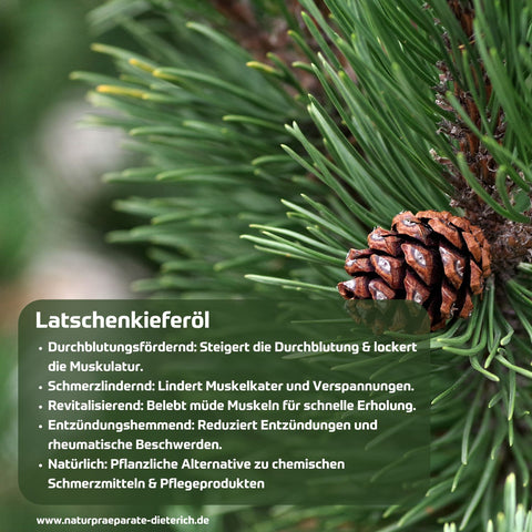 Latschenkieferöl traditionell bekannt für Steigerung der Durchblutung & Lockerung der Muskulatur, schmerzlindernd, revitalisierend, entzündungshemmend, pflanzliche Alternative zu chemischen Schmerzmitteln und Pflegeprodukten | Naturpräparate Dieterich