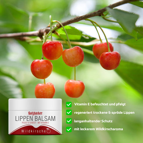 Holzhacker Lippenbalsam Wildkirsche 5 ml Tiegel - Vitamin E befeuchtet und pflegt, regeneriert trockene & spröde Lippen, langanhaltender Schutz, leckeres Wildkirscharoma. Foto mit Kirschen und Lippenbalsam. | Naturpräparate Dieterich