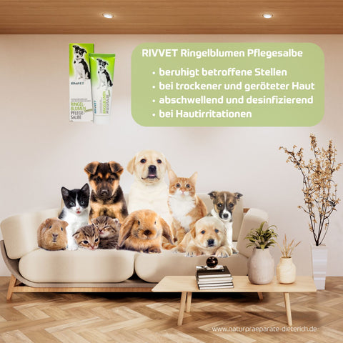 RIVVET Ringelblumen Pflegesalbe 75 ml für alle Haustiere, beruhigt betroffene Stellen, bei trockener/geröteter haut, abschwellende, desinfizierend, bei Hautirritationen | Naturpräparate Dieterich