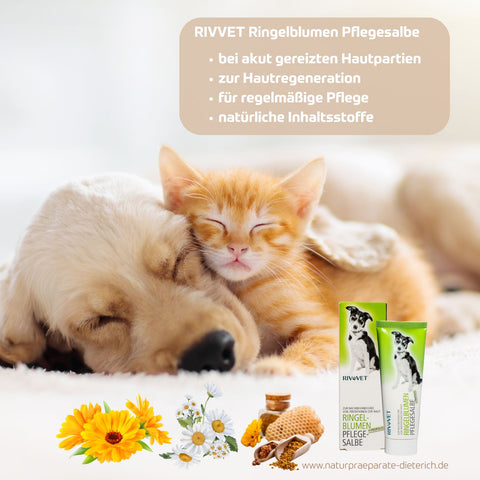 RIVVET Ringelblumen Pflegesalbe 75 ml für Hunde, Katzen ... für gereizte Hautpartien, zur Hautregeneration & regelmäßige Pflege, natürliche Inhaltsstoffe | Naturpräparate Dieterich