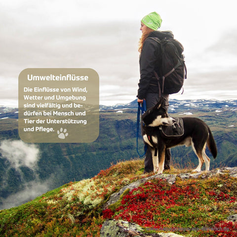 RIVVET Hirschtalg Pfotensalbe und RIVVET Ringelblumen Pflegesalbe zum Schutz von Vierbeinern vor Umwelteinflüssen wie Wind, Wetter, Untergrund etc. | Naturpräparate Dieterich