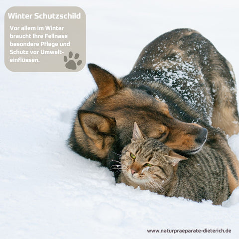RIVVET Hirschtalg Pfotensalbe und RIVVET Ringelblumen Pflegesalbe als Winter-Schutzschild für Vierbeinern (Hund & Kate im Schnee) vor Umwelteinflüssen. | Naturpräparate Dieterich
