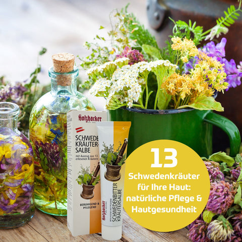 Holzhacker Schwedenkräuter Salbe 75 ml Tube - 13 Schwedenkräuter für Ihre Haut: natürliche Pflege & Hautgesundheit. Foto mit blühenden Kräutern und der Schwedenkräuter Salbe + Umkarton | Naturpräparate Dieterich