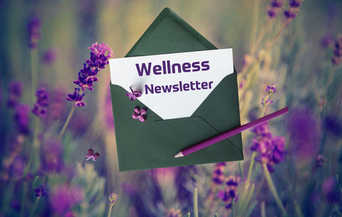 Naturpräparate Dieterich Wellness-Newsletter - Bild mit Briefumschlag in einem Lavendelfeld