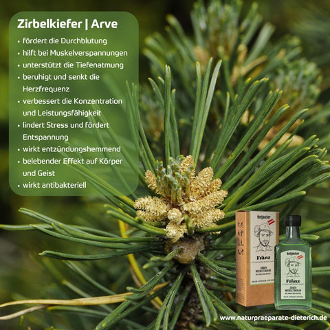 Holzhacker Franz Zirben Muskeltonikum - Zirbelkiefer/Arve traditionell bekannt für Durchblutungsförderung, Muskelentspannung, Tiefenatmung, verbessert Konzentration, lindert Stress, belebender Effekt auf Körper & Geist, antibakteriell | Naturpräparate Dieterich
