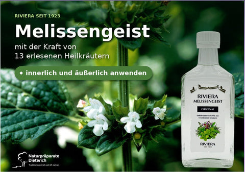 Riviera Melissengeist Original Flasche aus Glas mit weißem Verschluss neben einer blühenden Zitronenmelisse – traditioneller Kräuterklassiker seit 1923 zur inneren und äußerlichen Anwendung bei Frühjahrsmüdigkeit, Wetterfühligkeit und Verspannungen