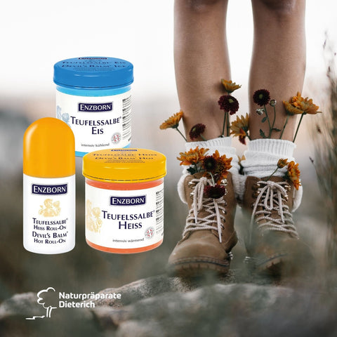 ENZBORN Teufelssalbe Heiss und Eis in der 200 ml Dose – wärmendes und kühlendes Pflegegel mit Teufelskralle | Naturpräparate Dieterich