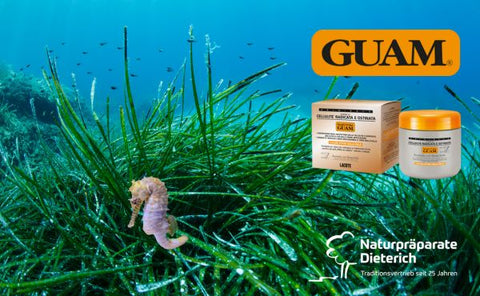 GUAM: Hochwirksame Anti-Cellulite-, Anti-Aging- & Körperpflege aus Italien
Mit GUAM haben wir eine Premium-Marke in unser Sortiment aufgenommen, die seit Jahrzehnten für klinisch belegte Ergebnisse steht.
Die Kombination aus Meeresalgen, Thermalwirkung & innovativen Lifting-Rezepturen macht GUAM zur Nr. 1 in der Anti-Cellulite-, Anti-Aging- & Körperpflege.
Naturpräparate Dieterich