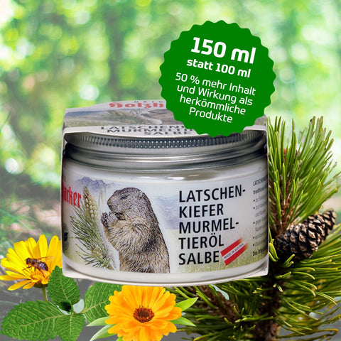 Holzhacker Latschenkiefer Murmeltieröl Salbe 150 ml Tiegel - 150ml Inhalt statt nur 100 ml, 50 % mehr Inhalt und Wirkung als herkömmliche Produkte. Foto mit Tiegel und Latschenkieferzweig. | Naturpräparate Dieterich