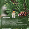 Latschenkieferöl traditionell bekannt für Steigerung der Durchblutung & Lockerung der Muskulatur, schmerzlindernd, revitalisierend, entzündungshemmend, pflanzliche Alternative zu chemischen Schmerzmitteln und Pflegeprodukten. Foto mit Latschenkieferzweig, Sauna Aufguss-Öl Latschenkiefer und Vorteilen | Naturpräparate Dieterich