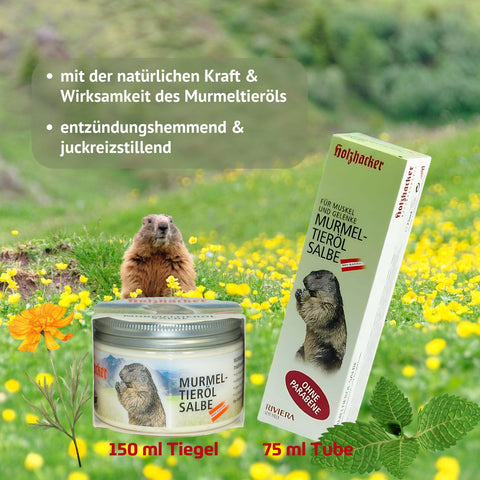 Holhacker Murmeltieröl Salbe Tiegel mit 150 ml Inhalt und Tube mit 75 ml Inhalt mit Murmeltier auf einer Blumenwiese und Text: mit der natürlichen Kraft und Wirksamkeit des Murmeltieröls, entzündunshemmend und juckreizstillend | Naturpräparate Dieterich