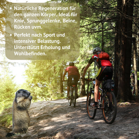 Holhacker Murmeltieröl Salbe Tiegel mit 150 ml Inhalt mit Murmeltier im Wald mit zwei Mountain-Bikern und Text: natürliche Regeneration für den ganzen Körper. Ideal für Knie, Sprunggelenke, Beine, Rücken uvm.  Perfekt nach Sport und intensiver Belastung. Unterstützt Erholung und Wohlbefinden | Naturpräparate Dieterich
