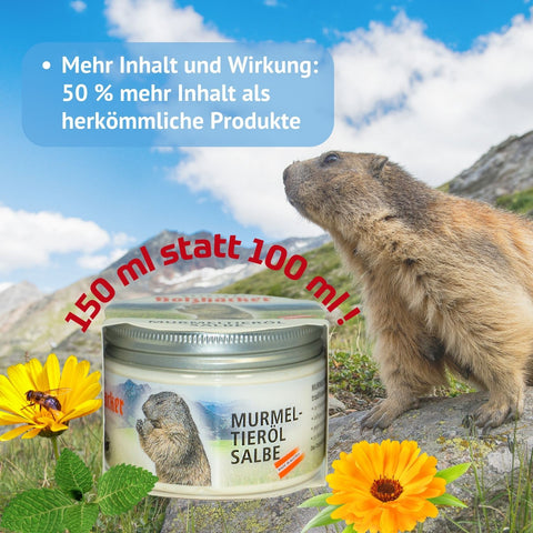 Holhacker Murmeltieröl Salbe Tiegel mit 150 ml Inhalt mit Murmeltier vor Bergwelt und dem Hinweis: mehr Inhalt und Wirkung: 50 % mehr Inhalt als herkömmliche Produkte. | Naturpräparate Dieterich