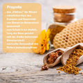 Infografik zum Naturprodukt Propolis, dem Kittharz der Bienen, als Bestandteil des Riviera Immunkomplex mit Propolis und Honig | Naturpräparate Dieterich