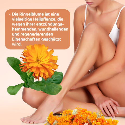 Die Ringelblume wird als Heilpflanze mit ihren entzündungshemmenden und wundheilenden Eigenschaften geschätzt.