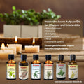Holzhakcer Sauna Aufguss-Öl-Set Pflanzen- u. Kräuterdüfte. 6 ätherische Öle: Birkensprossen, Edeltanne, Eukalyptus, Latschenkiefer, Minze und Lemongras | Naturpräparate Dieterich