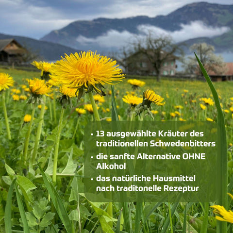 Riviera Schweden Kräuter Elixier alkoholfrei - 13 ausgewählte Kräuter des traditionellen Schwedenbitters. Die sanfte Alternative ohne Alkohol. Natürliches Hausmittel nach traditioneller Rezeptur. Foto Wiese mit Löwenzahn und Text. | Naturpräparate Dieterich