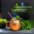 Riviera Original Schweden Kräuter Elixier in 250 oder 500 ml Glasflasche - lecker auch als Mixgetränk. Einzigartig lecker im Geschmack, appetitanregend und erfrischend zugleich. Foto mit Kupferbecher, Limetten und Minze. | Naturpräparate Dieterich