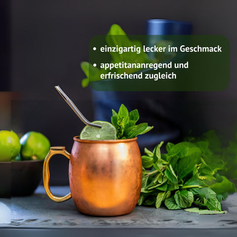 Riviera Original Schweden Kräuter Elixier in 250 oder 500 ml Glasflasche - lecker auch als Mixgetränk. Einzigartig lecker im Geschmack, appetitanregend und erfrischend zugleich. Foto mit Kupferbecher, Limetten und Minze. | Naturpräparate Dieterich