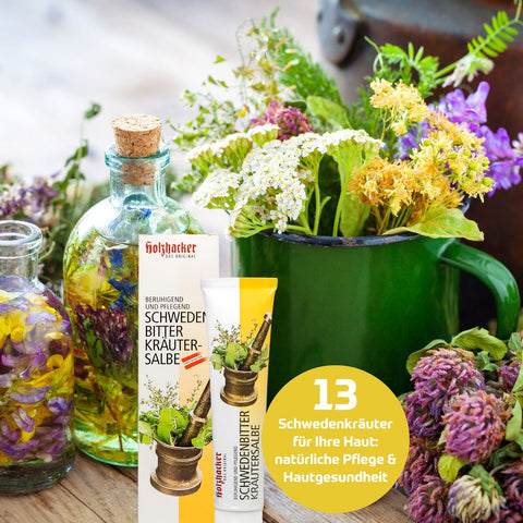 Holzhacker Schwedenbitter Kräutersalbe 75 ml Tube - 13 Schwedenkräuter für Ihre Haut: natürliche Pflege & Hautgesundheit. Foto mit blühenden Kräutern und der Schwedenbitter Kräutersalbe + Umkarton | Naturpräparate Dieterich