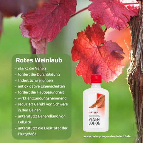 Riviera Venen Lotion 250 ml Flasche.  Rotes Weinlaub traditionell bekannt für Stärkung der Venen, durchblutungsfördernd, lindert Schwellungen, antioxidative Eigenschaften, entzündungshemmend, unterstützt Behandlung von Cellulite, für Elastizität der Blugefäße | Naturpräparate Dieterich